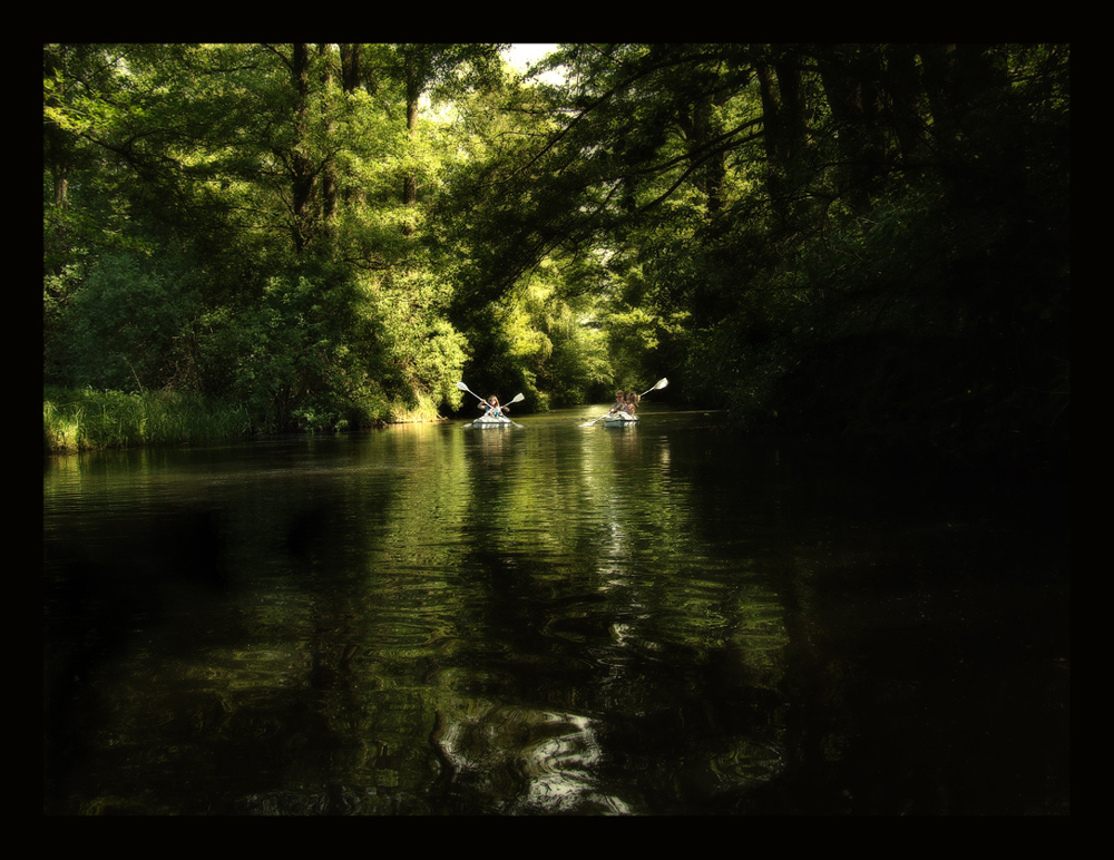 Auf des Wassers Bette