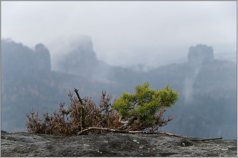 Auf die Berge will ich steigen