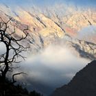 Auf die Berge will ich steigen, Wo die dunkeln Tannen ragen, Bäche rauschen, Vögel singen, Und die s