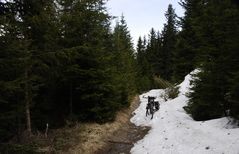 Auf die Hattinger Alm Mai 09 / 2