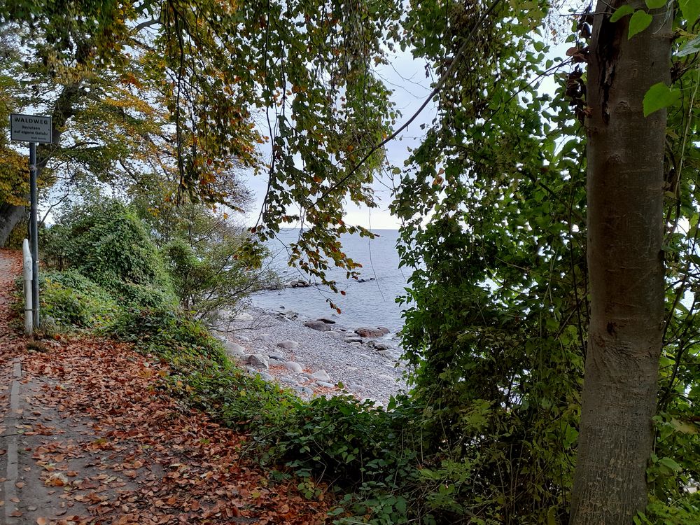 auf die Ostsee