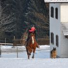 ...auf die Plätze, fertig, los....