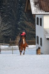 ...auf die Plätze, fertig, los....