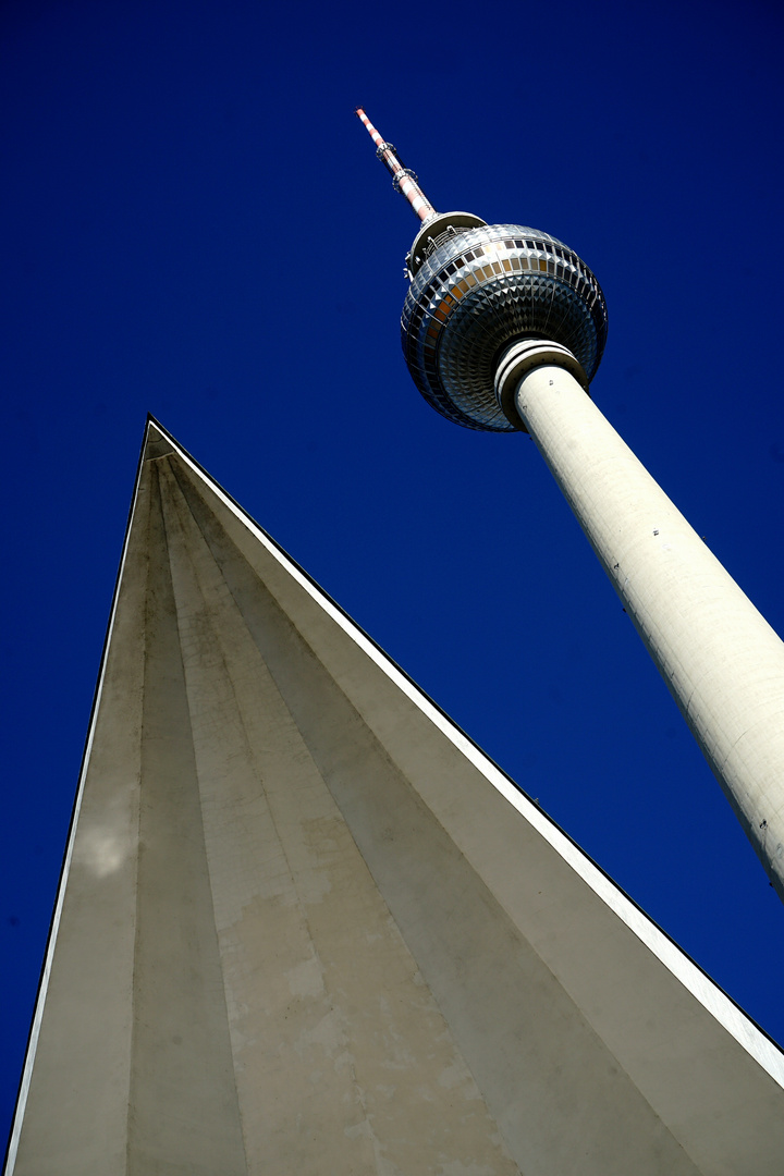 auf die Spitze getrieben