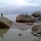 Auf die Spitze getrieben in Binz am Fischerstrand