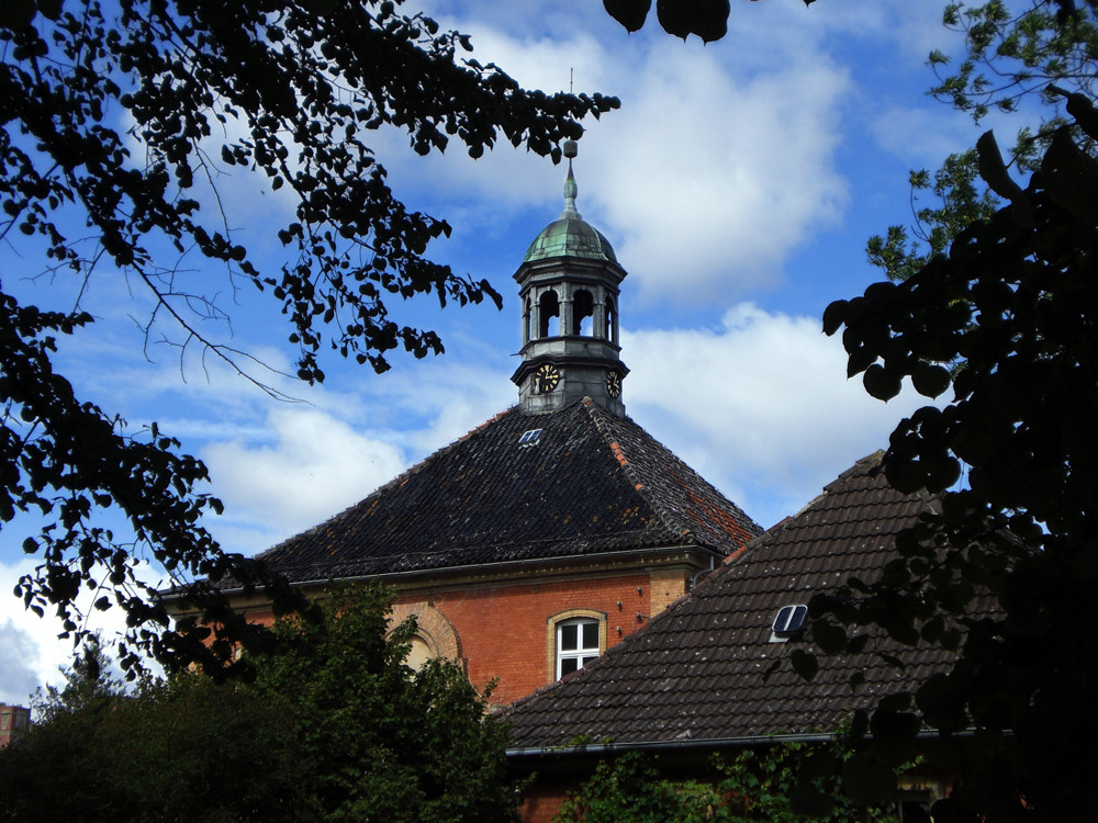 auf die spitze treiben