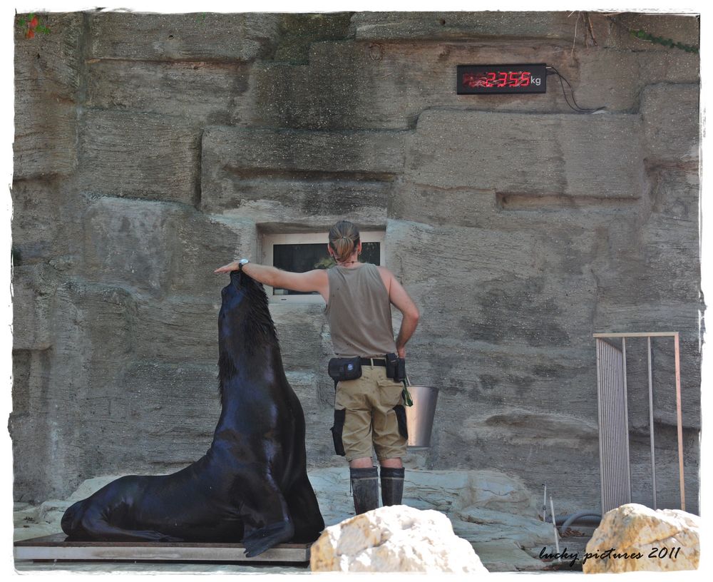 auf die Waagschale - at the Zoo