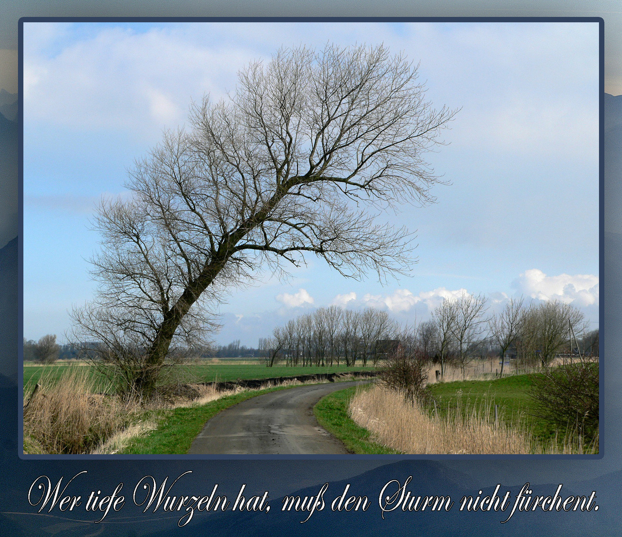 Auf die Wurzeln kommt es an!