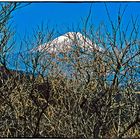 Auf Distanz zu den Göttern des Mount Fuji