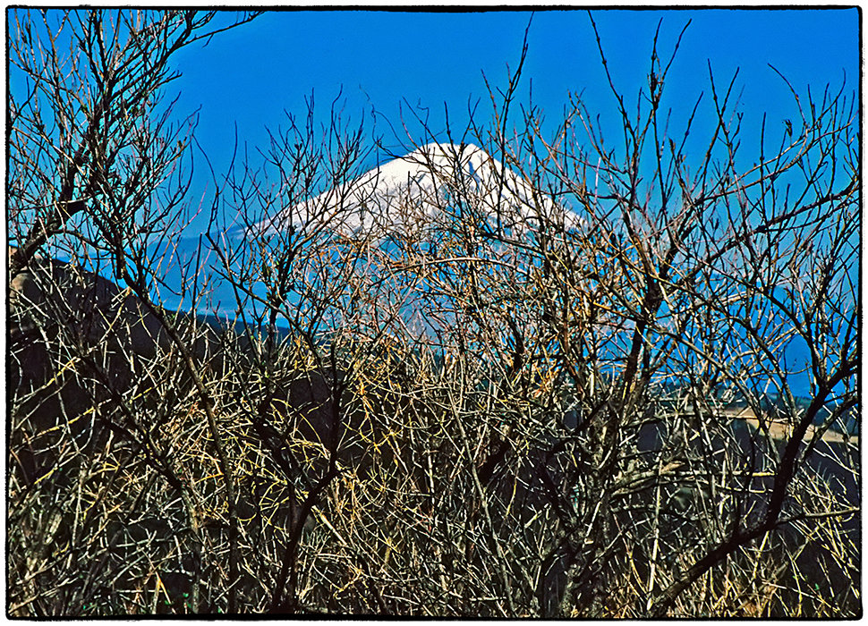 Auf Distanz zu den Göttern des Mount Fuji