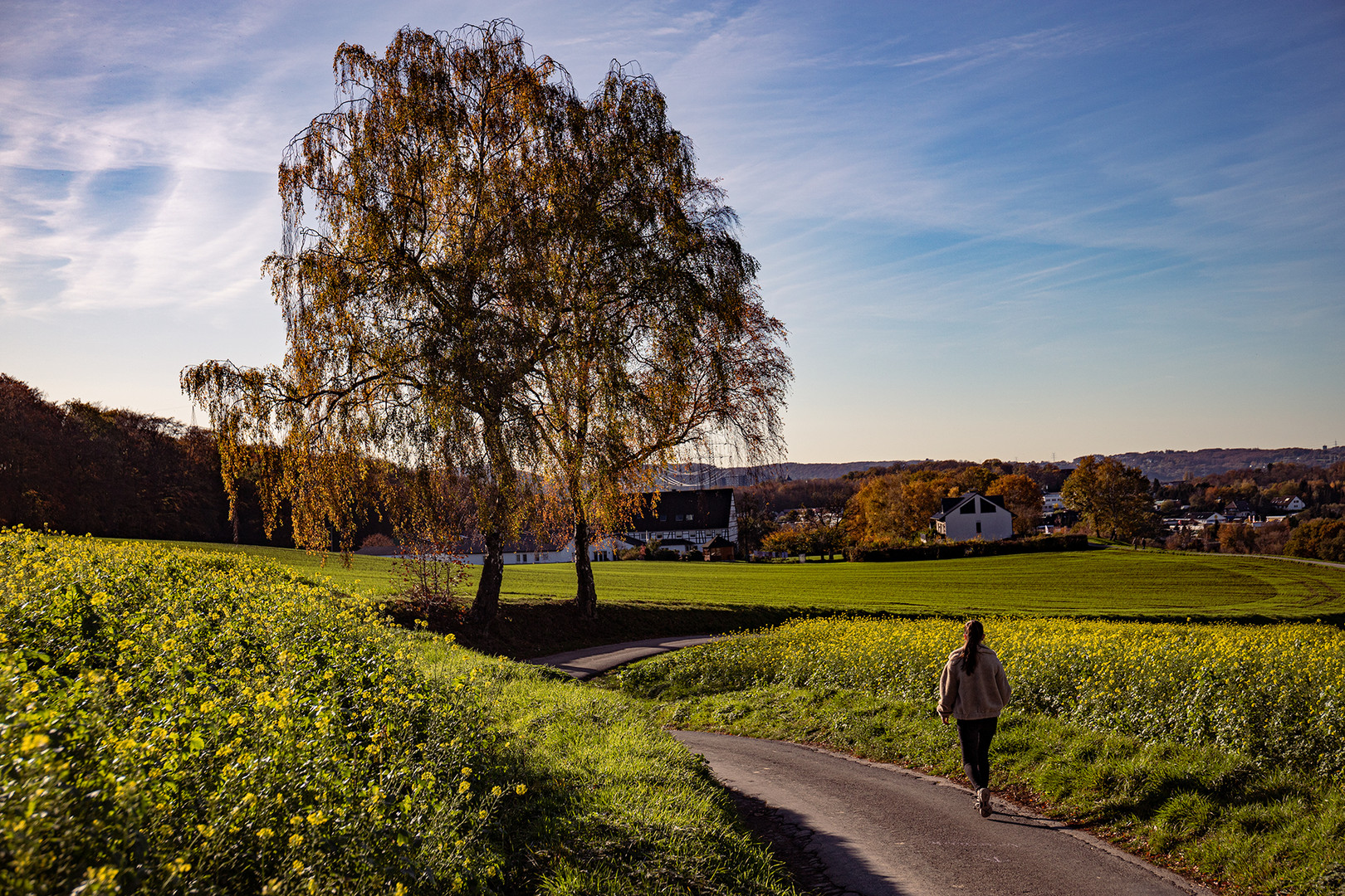 Auf Drenhausen im November 2020