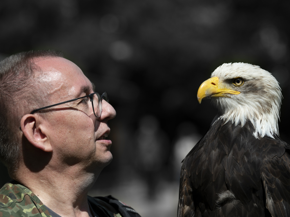 Auf Du und Du mit dem Adler