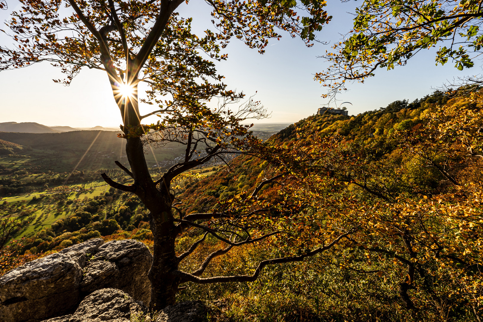 Auf einem Albfelsen