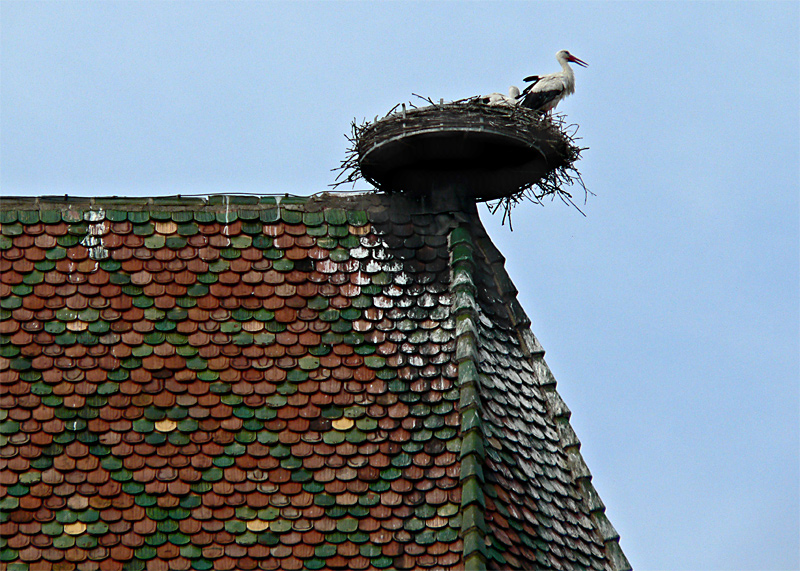 Auf einem Dach in Colmar