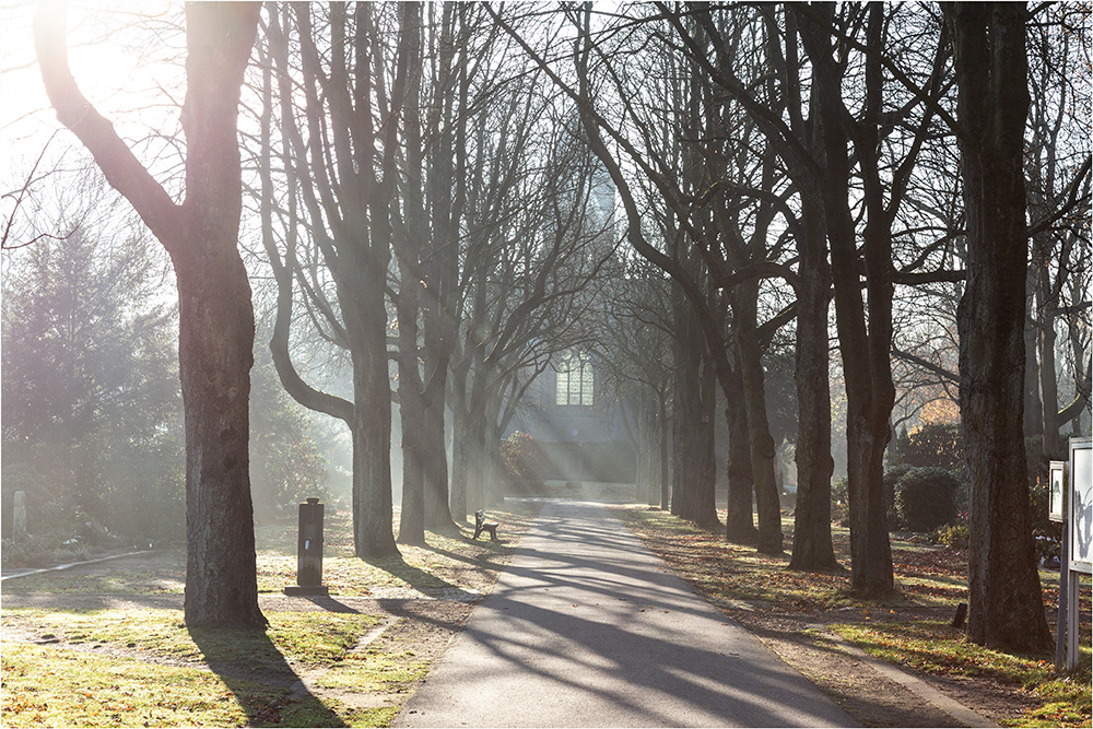 Auf einem Duisburger Friedhof