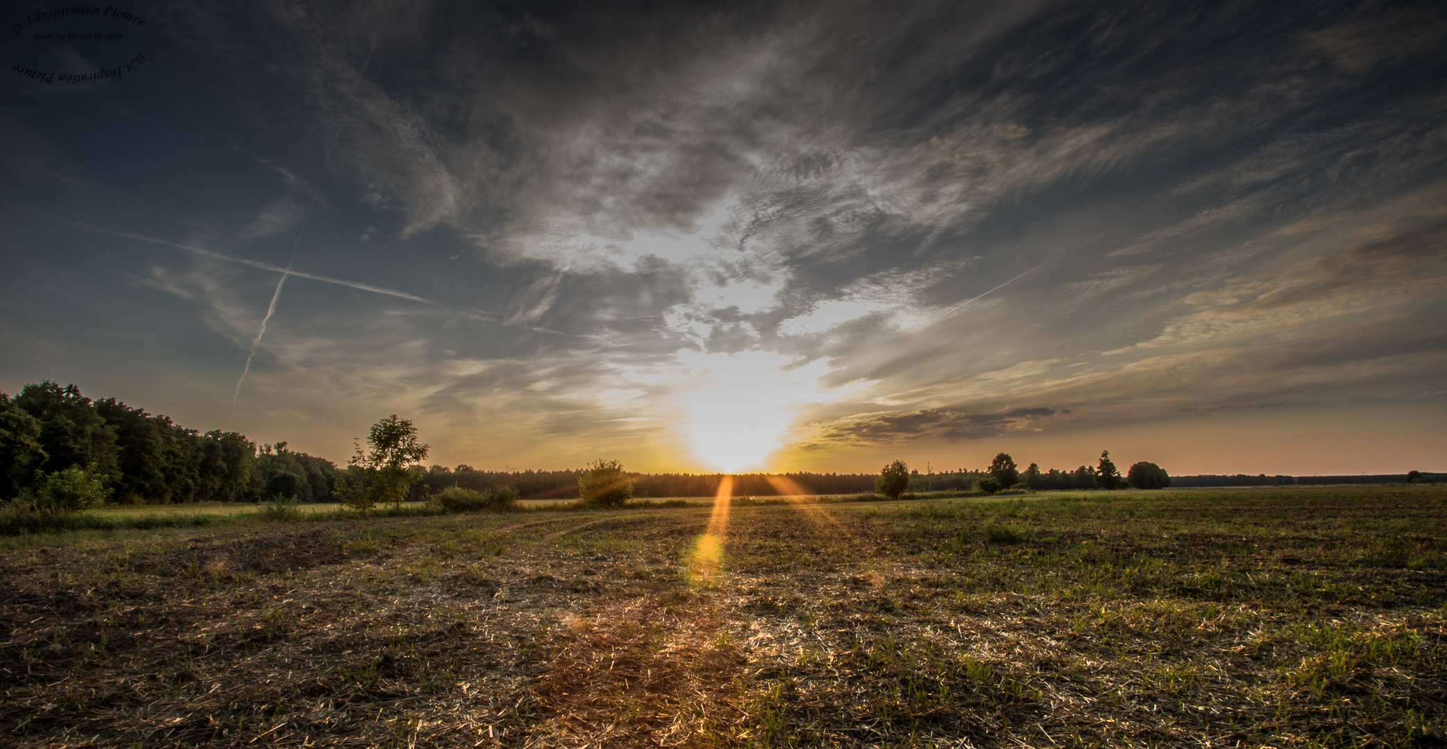 Auf einem Feld