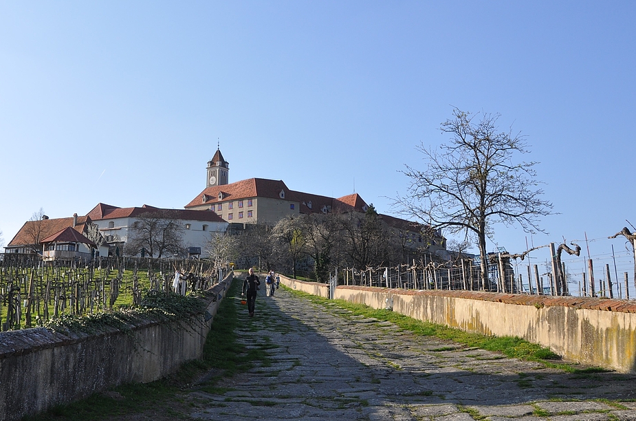 Auf einem Fels - die Riegersburg