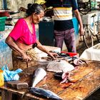 auf einem Fischmarkt in Sri Lanka 