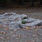 auf einem Friedhof