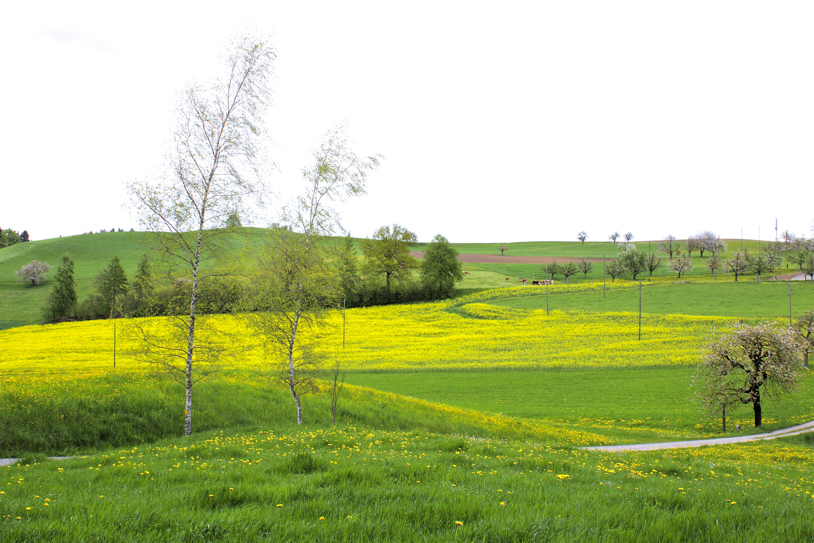 Auf einem Frühlingsspaziergang