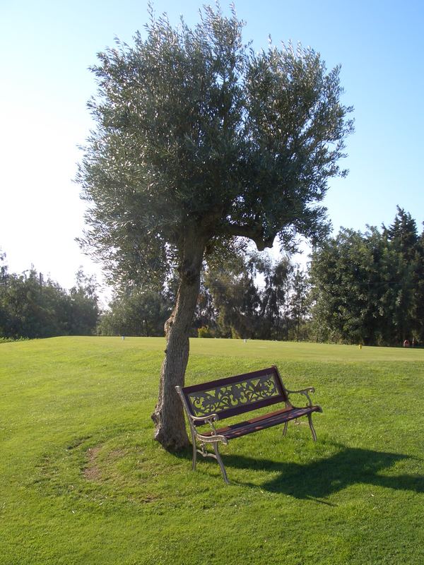 ... auf einem Golfplatz in Portugal