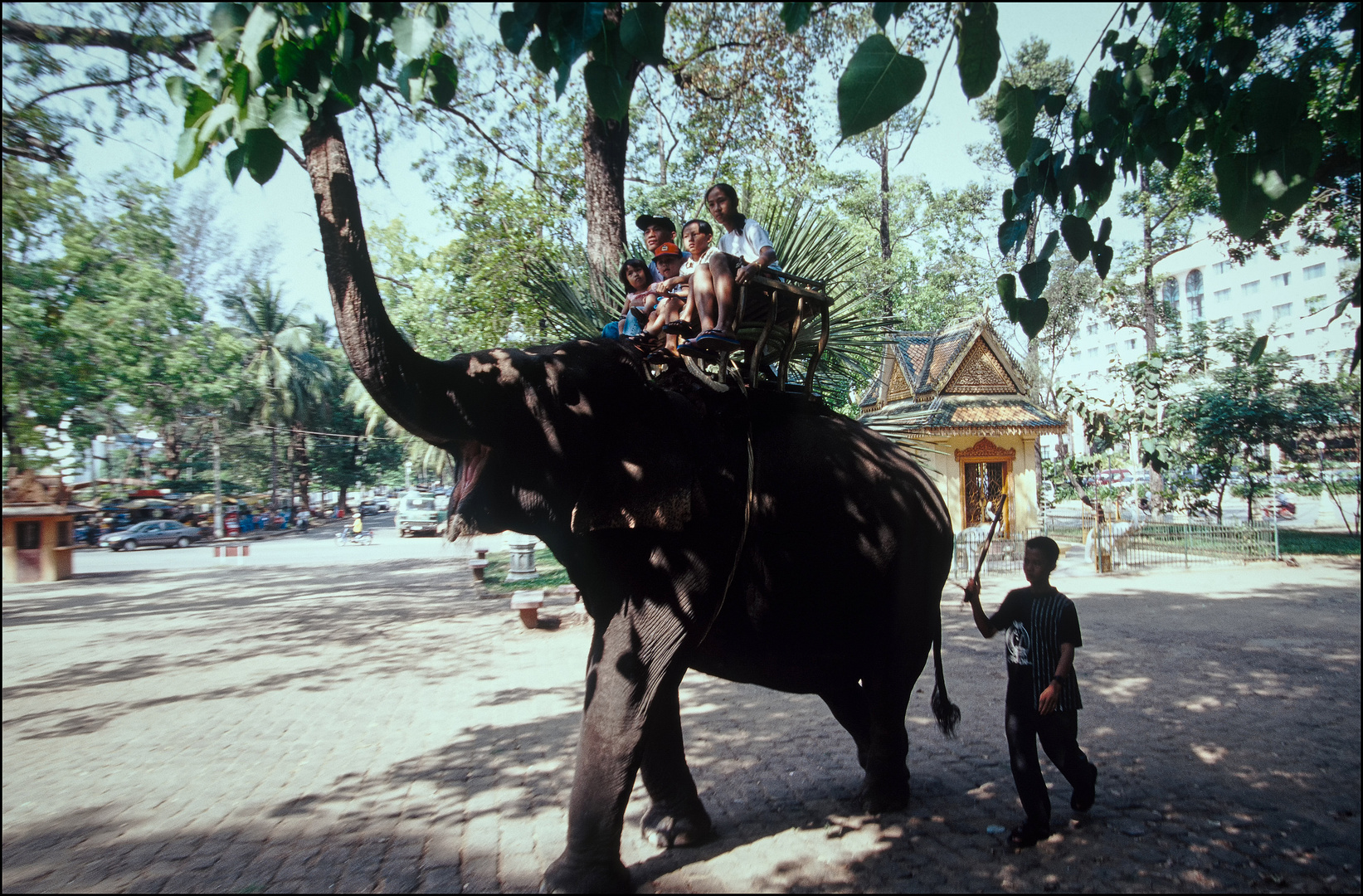 Auf einem großen Säugetier um das Wat Phnom