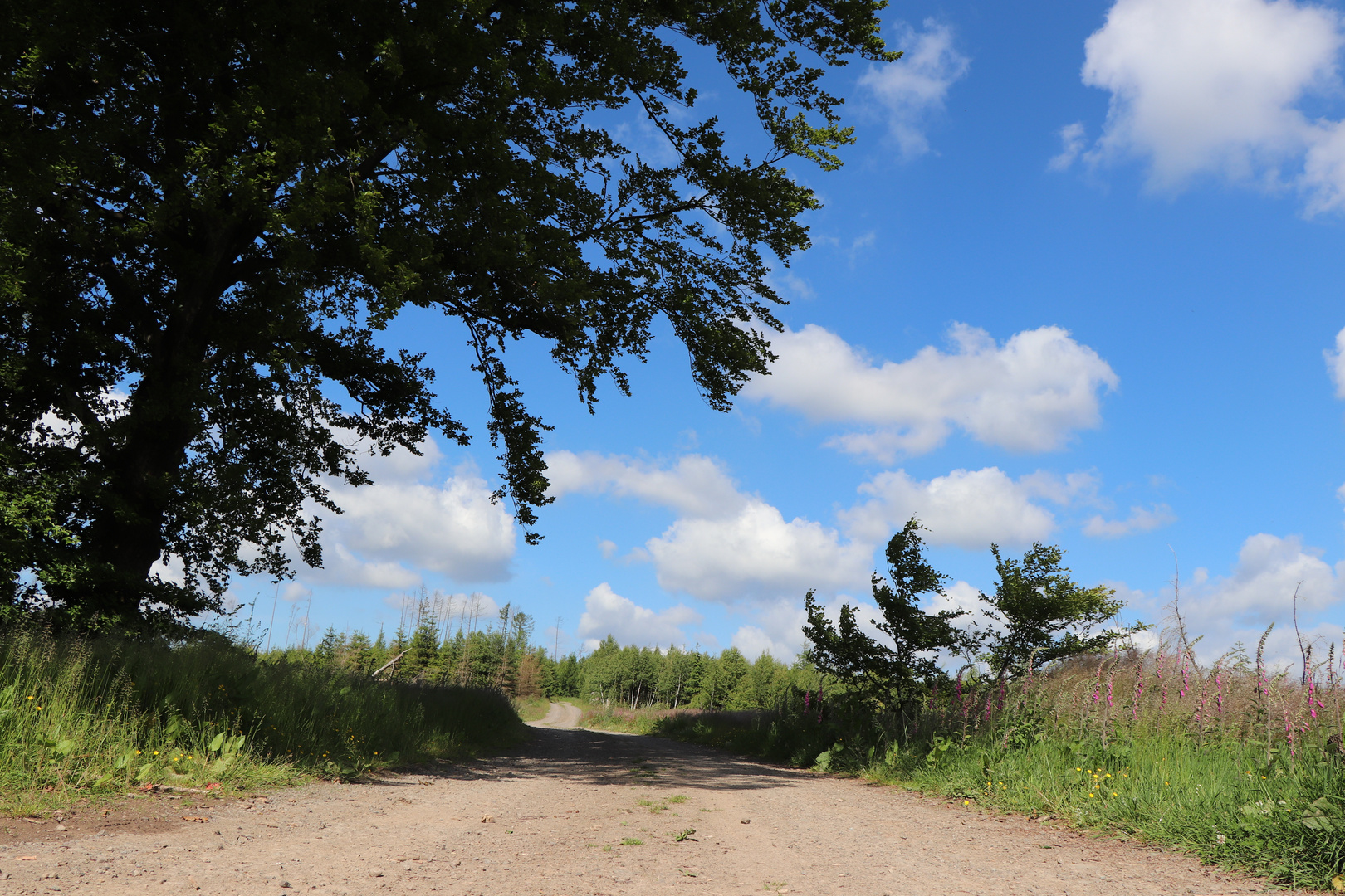 Auf einem heimatlichen Rundwanderweg