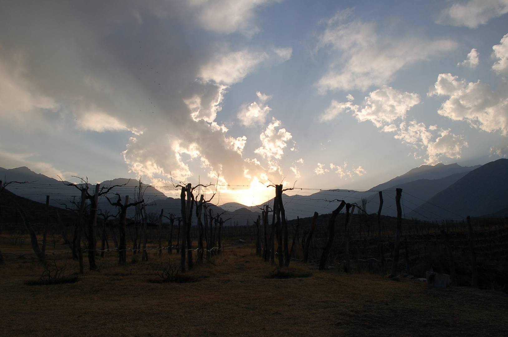 Auf einem idyllischen Weingut in Cachi / Argentinien.....meine Welt.