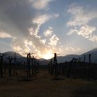 Auf einem idyllischen Weingut in Cachi / Argentinien.....meine Welt.