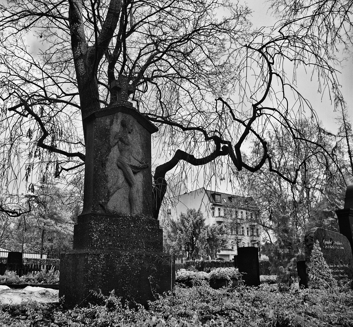 auf einem kleinen Friedhof in Berlin