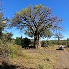 Auf einem "Loop" im Kruger Nationalpark SA