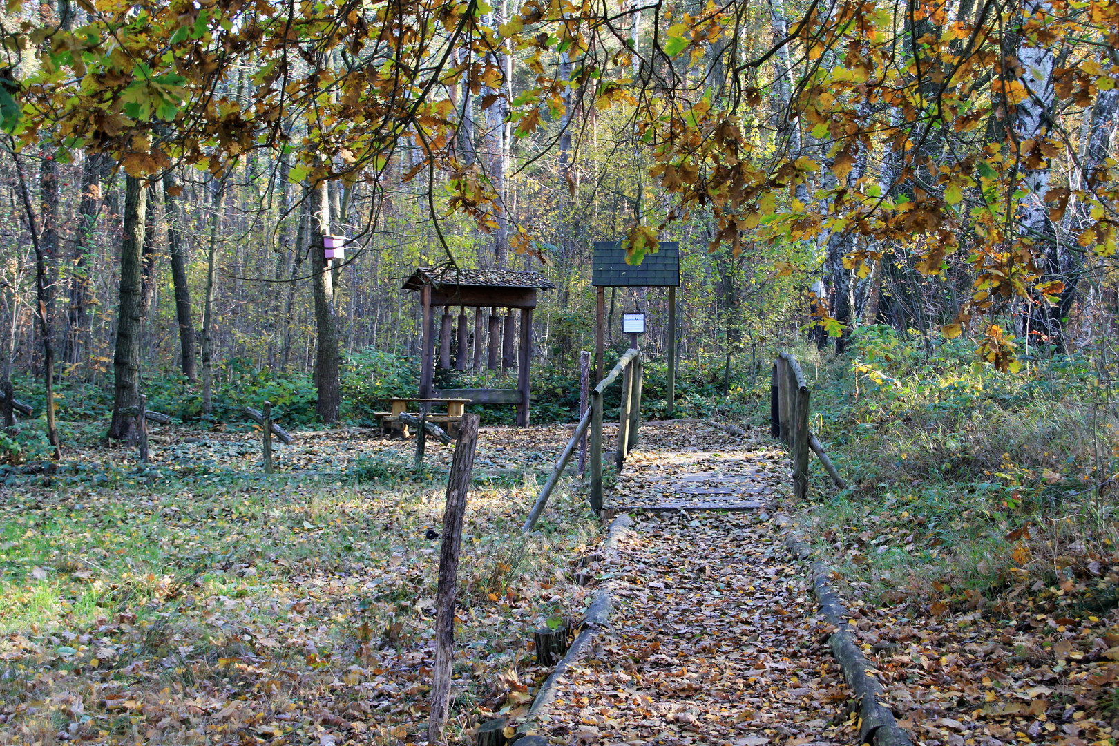 Auf einem Naturlehrpfad (31. Okt.)