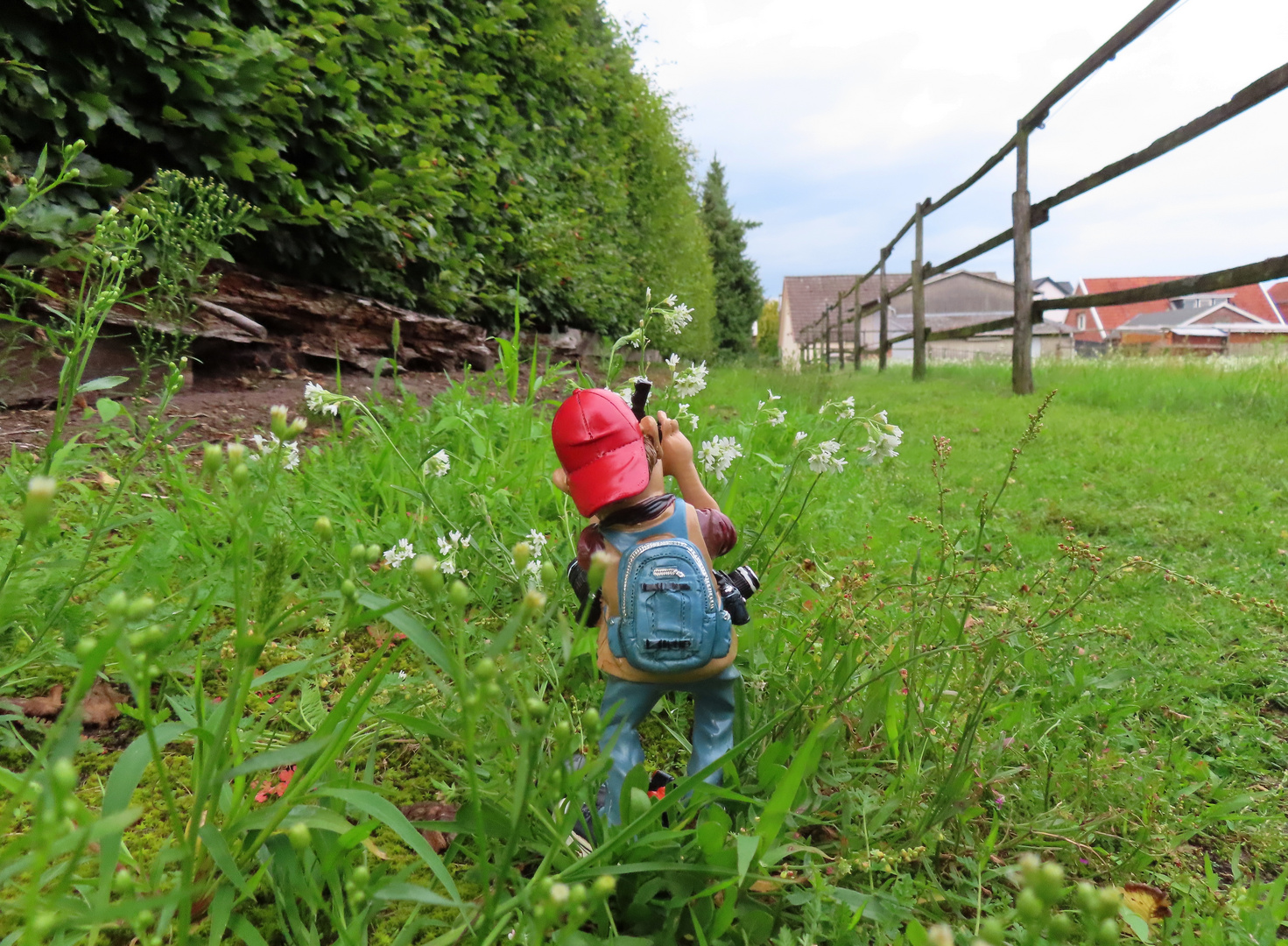 auf einem Schleichweg 