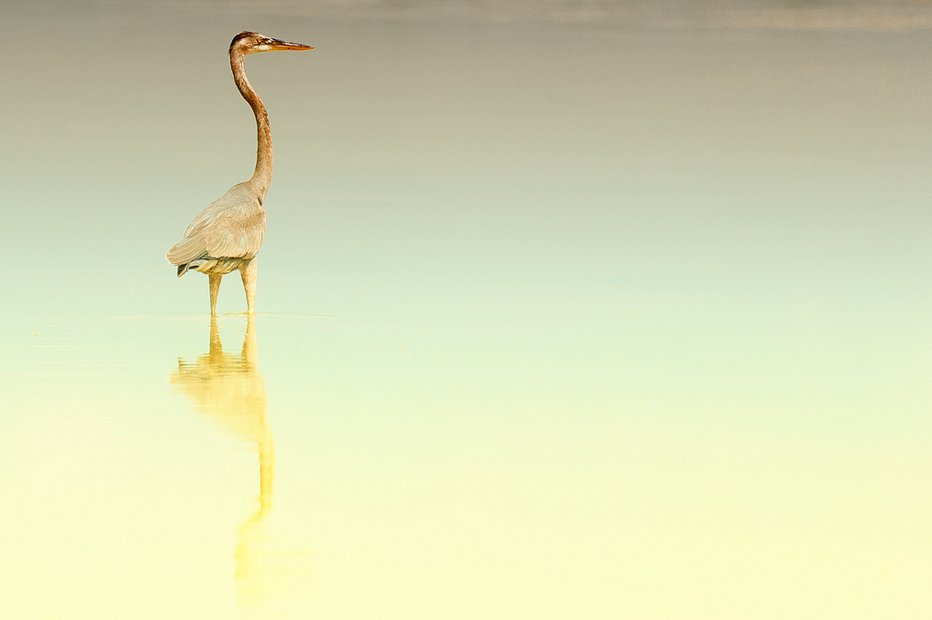 Auf einem See in Mexiko