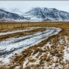 Auf einem winterlichen Weg