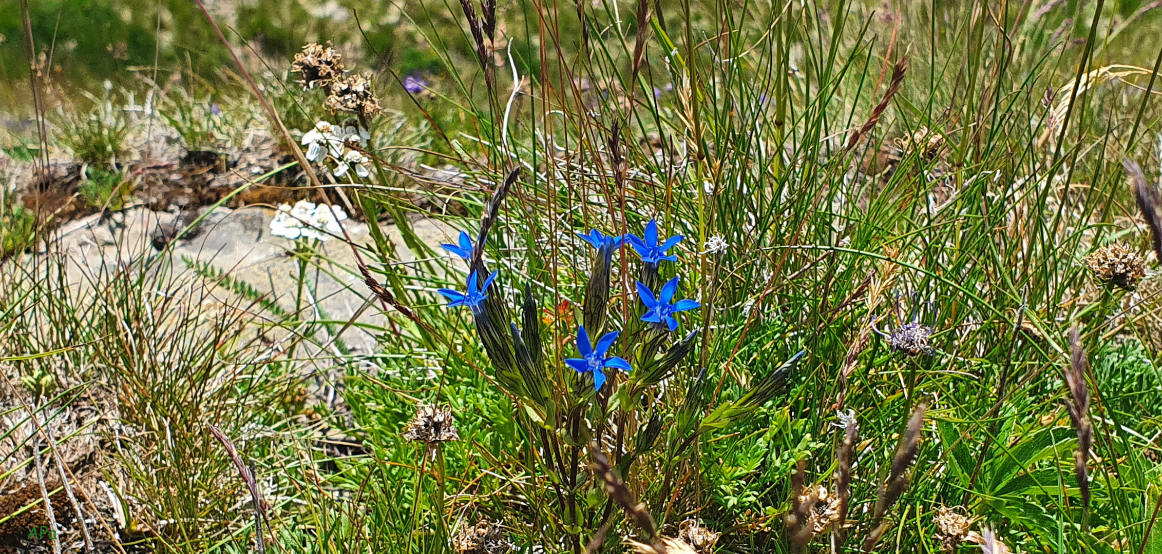 Auf einer Bergtour...