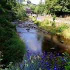 Auf einer Brücke über der Rur in Monschau 