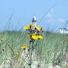 Auf einer Düne in Warnemünde