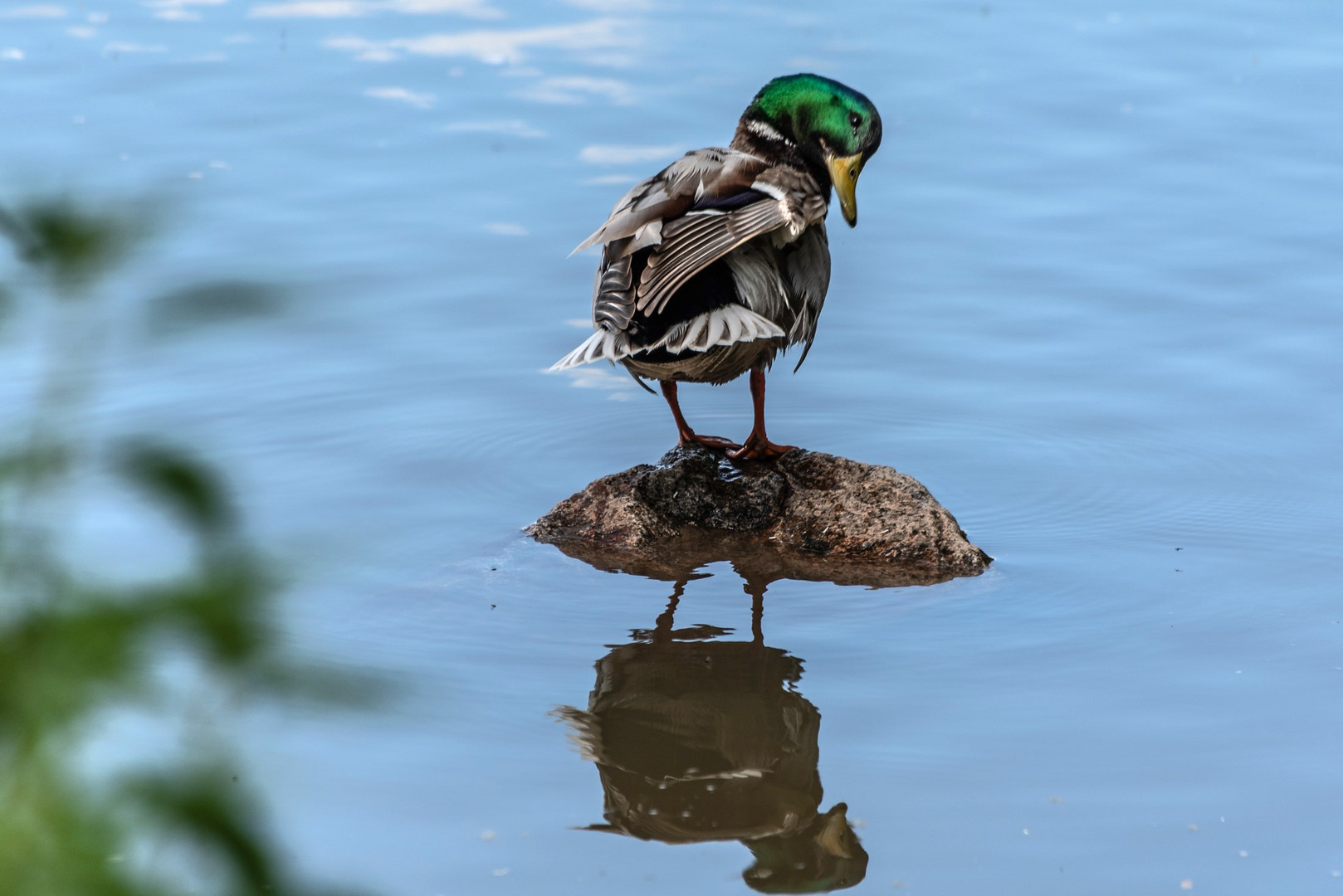 Auf einer kleinen Insel