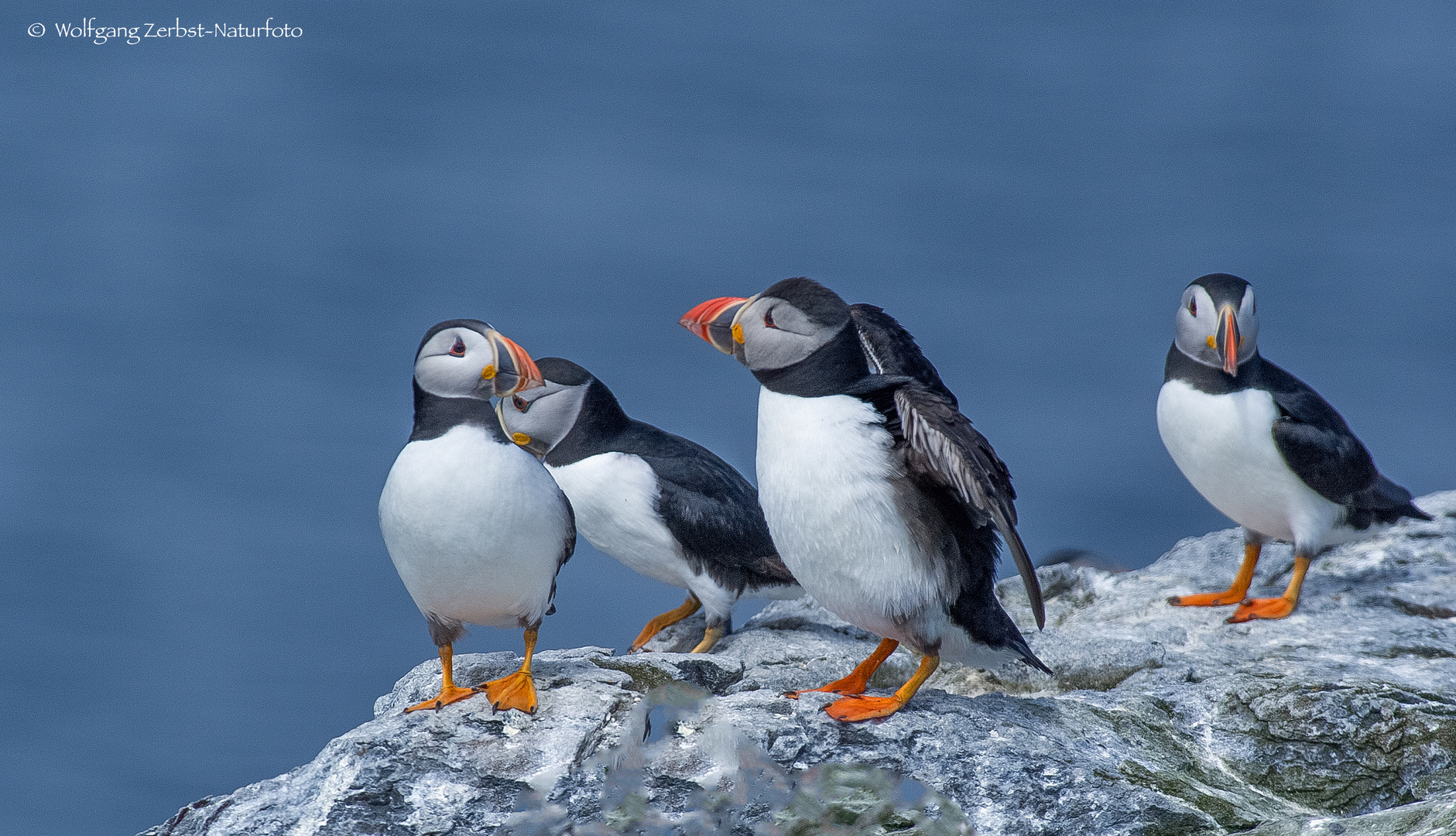   - Auf einer schottischen Insel -