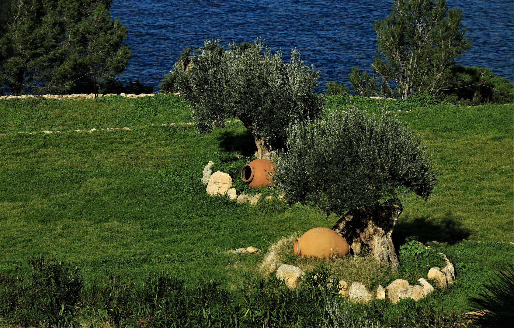 Auf einer Terrasse Foto & Bild | landschaft, garten- & parklandschaften