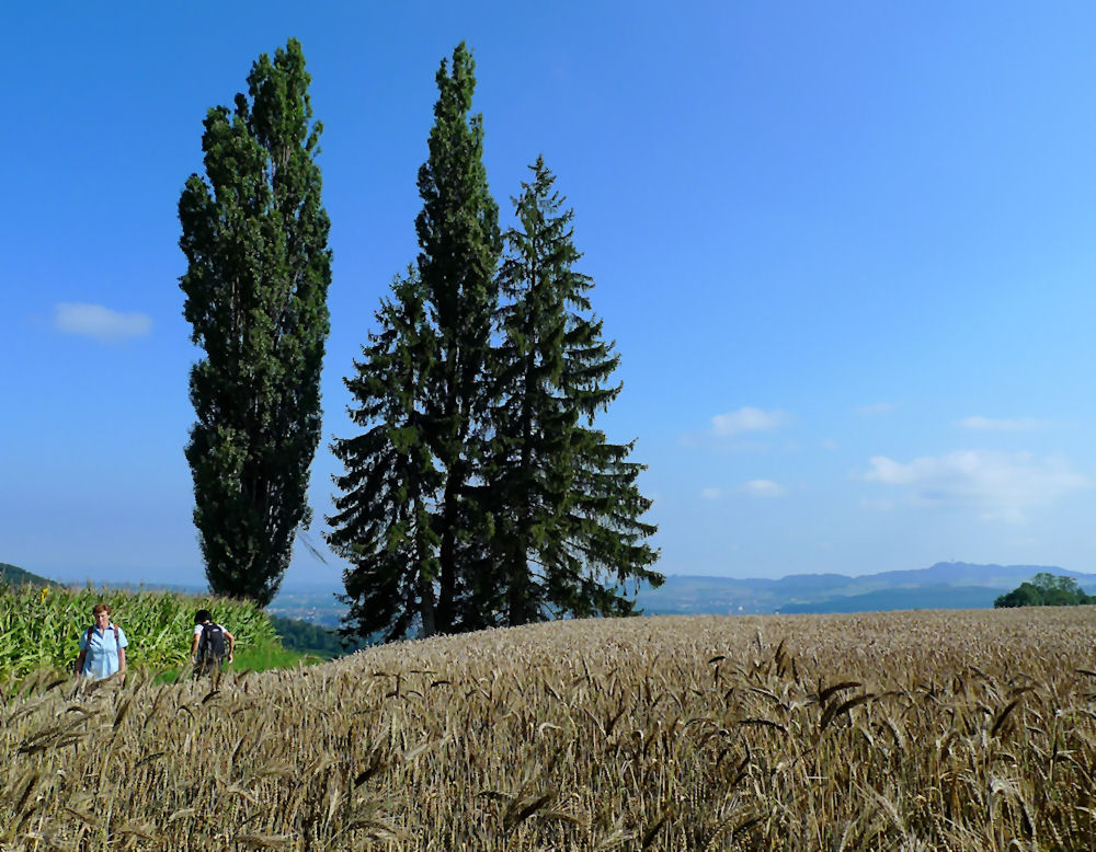 Auf einer Traumwanderung....