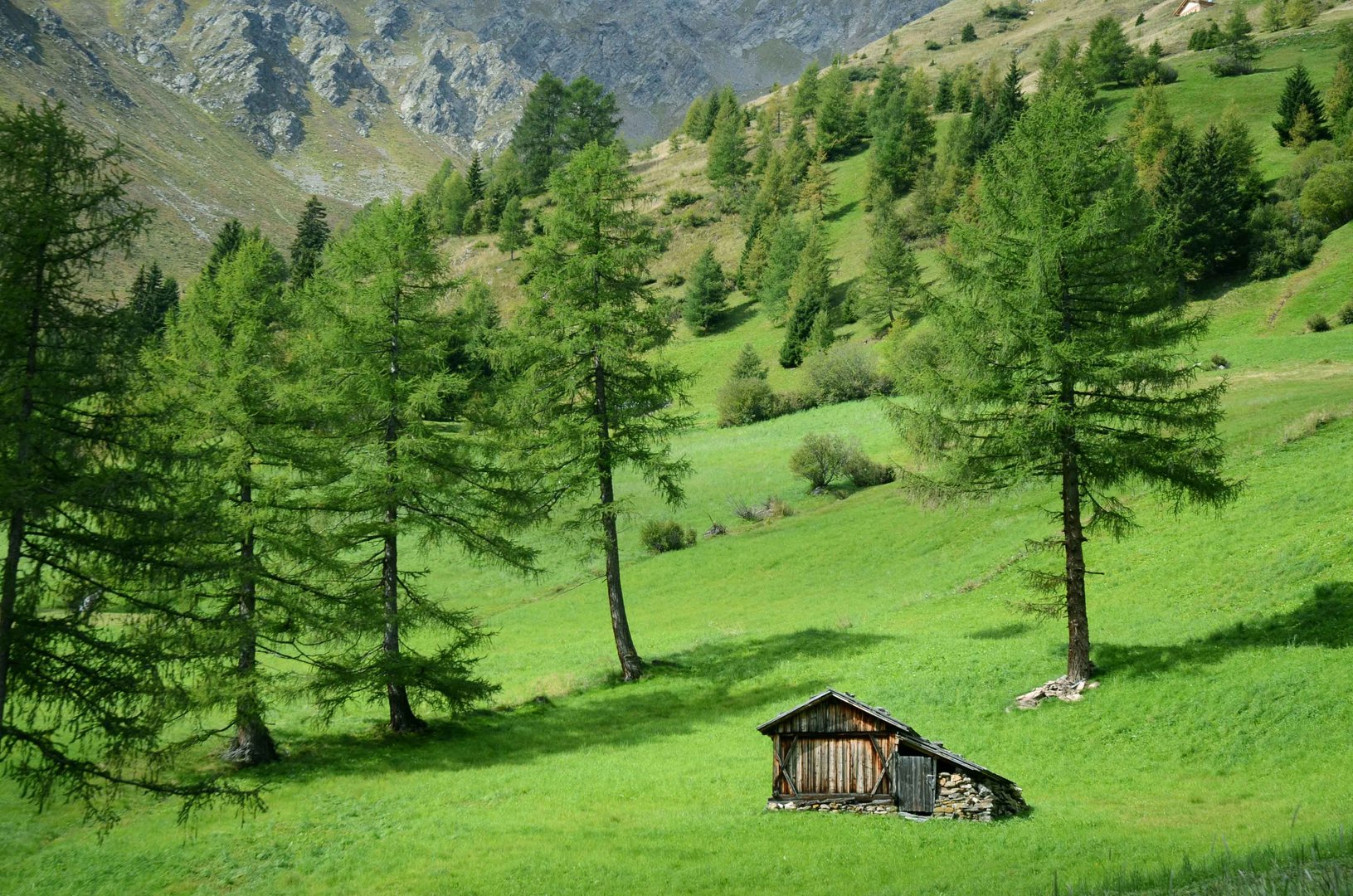 Auf einer Wanderung gemacht