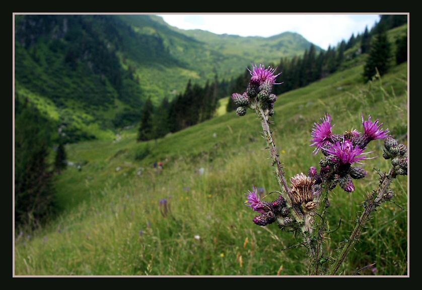 Auf einer Wanderung in den Kitzbühler Bergen ...