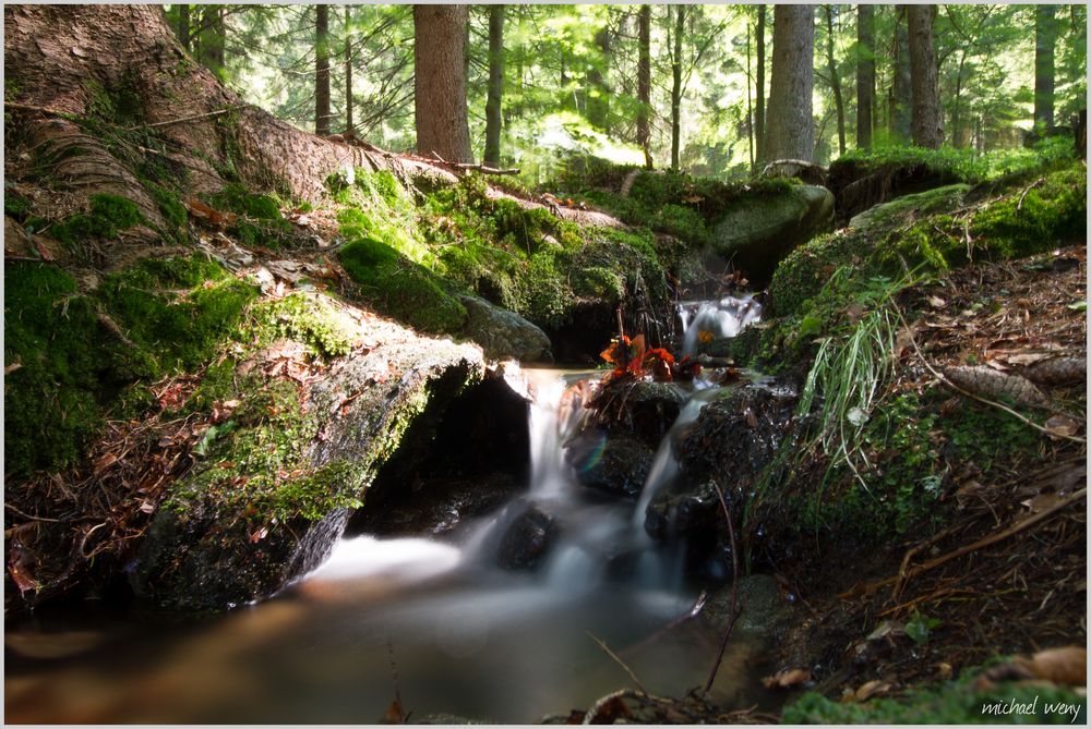 Auf einer Wanderung in der Nähe von Zwiesel