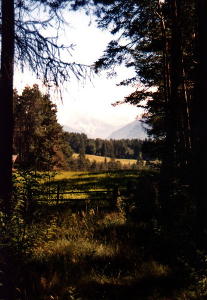 Auf einer Wanderung in Südtirol, auf dem Ritten, August 2001