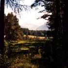 Auf einer Wanderung in Südtirol, auf dem Ritten, August 2001