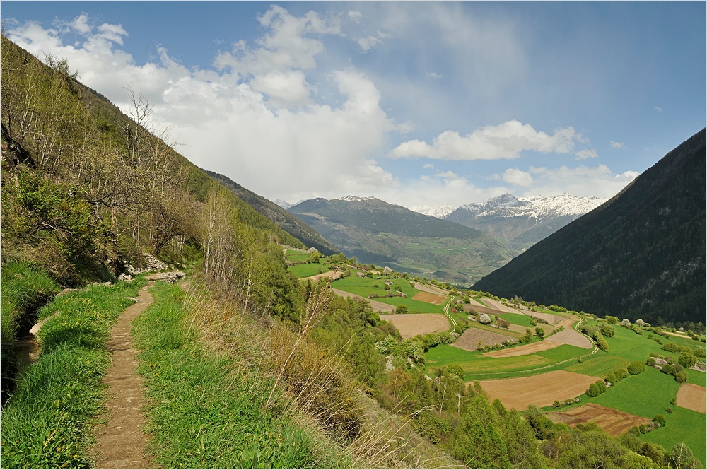 Auf einsamen Waalwegen im Münstertal ...