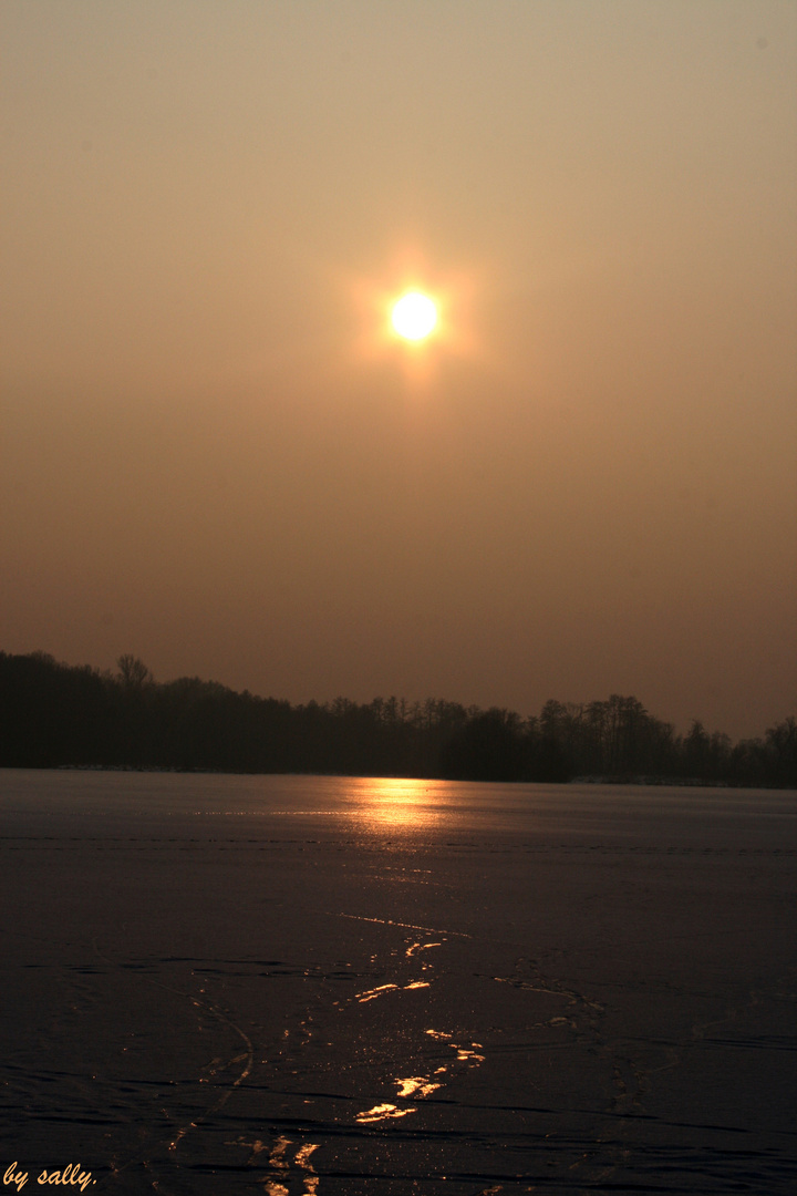 Auf Eis - Stausee Glauchau.