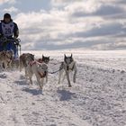 auf eisiger Piste